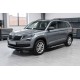 Боковые Подножки Sunrise (2 шт., Алюминий) для Skoda Kodiaq 2016-2023 гг