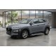 Боковые Подножки Rainbow (2 шт., Алюминий) для Hyundai Kona 2017-2023 гг