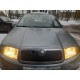 Зимова накладка на решітку Глянсова для Skoda Fabia 2000-2007 рр
