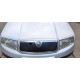 Зимова накладка на решітку Глянсова для Skoda Fabia 2000-2007 рр
