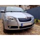 Зимова накладка на решітку (2007-2010, верхня) Матова для Skoda Roomster рр