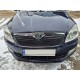 Зимова накладка на решітку (2010-2025, верхня) Глянцева для Skoda Roomster рр