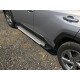 Бокові пороги Allmond Grey (2 шт., алюміній) для Toyota Rav 4 2019- рр