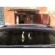 Рейлінги Хром (для Grand C-Max) для Ford C-Max/Grand C-Max 2010-2019 рр