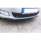 Зимова накладка на решітку (2011-2014, нижня) Глянцева для Skoda Fabia рр