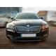 Зимова накладка на решітку (верхня) Глянцева для Skoda Superb 2015-2024 рр