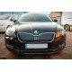 Зимова накладка на решітку (верхня) Глянцева для Skoda Superb 2015-2024 рр