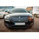 Зимова накладка на решітку (нижня) Глянцева для Skoda Superb 2015-2024 рр