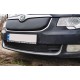 Зимова накладка на решітку (Нижня, 2008-2013) Глянцева для Skoda Superb рр