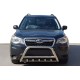 Кенгурятник WT003 (нержавейка) для Subaru Forester 2013-2018 гг