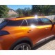 Окантовка вікон (6 шт, нерж) для Peugeot 2008 2019- рр