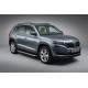 Боковые Подножки BlackLine (2 шт., Алюминий) для Skoda Kodiaq 2016-2023 гг