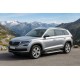 Боковые Подножки New Vision Grey (2 шт., Алюминий) для Skoda Kodiaq 2016-2023 гг