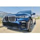 Бокові пороги OEM (2 шт) для BMW X7 G07 2019- рр