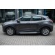 Боковые пороги Allmond Grey (2 шт., алюминий) для Ford Puma 2019- гг