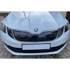 Зимняя решетка (2017-2020) Глянцевая для Skoda Octavia III A7