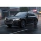 Боковые Подножки Tayga Black (2 шт., Алюминий) для Ауди Q5 2017-2025 гг