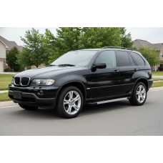 Боковые пороги RedLine (2 шт, алюминий) для BMW X5 E53 1999-2006 гг