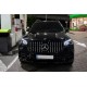Передня решітка 2019-2023 (GT Panamericana) для Mercedes GLS X167 2019- рр