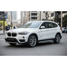Боковые Подножки Bosphore Grey (2 шт., Алюминий) для BMW X1 F-48 2015-2022 гг