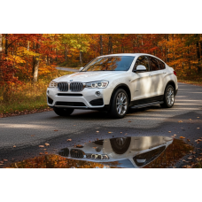 Бокові пороги Bosphore Grey (2 шт., Алюміній) для BMW X4 F-26 2014-2018 рр