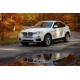 Боковые Подножки Bosphore Grey (2 шт., Алюминий) для BMW X4 F26 2014-2018 гг