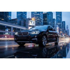 Бокові пороги Maya V1 (2 шт., Алюміній) для BMW X4 F26 2014-2018 рр