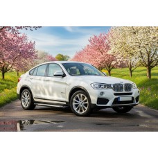 Бокові пороги Allmond Grey (2 шт., Алюміній) для BMW X4 F26 2014-2018 рр