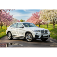 Бокові пороги Allmond Grey (2 шт., Алюміній) для BMW X4 F-26 2014-2018 рр