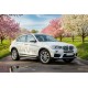 Боковые пороги Allmond Grey (2 шт., алюминий) для BMW X4 F26 2014-2018 гг