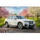 Бокові пороги Allmond Grey (2 шт., Алюміній) для BMW X4 F26 2014-2018 рр