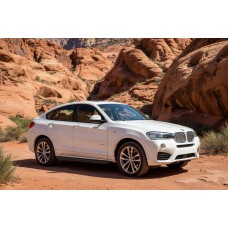 Бокові пороги Tayga Black (2 шт., Алюміній) для BMW X4 F26 2014-2018 рр