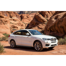 Боковые Подножки Tayga Black (2 шт., Алюминий) для BMW X4 F26 2014-2018 гг