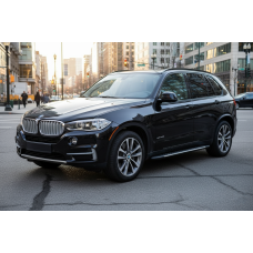Бокові пороги Bosphore Grey (2 шт., Алюміній) для BMW X5 F-15 2013-2018 рр