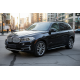 Бокові пороги Bosphore Grey (2 шт., Алюміній) для BMW X5 F15 2013-2018 рр