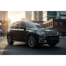 Боковые Подножки Duru (2 шт., Алюминий) для BMW X5 F15 2013-2018 гг
