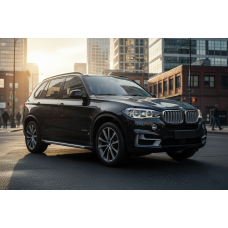 Бокові пороги Duru (2 шт., Алюміній) для BMW X5 F-15 2013-2018 рр