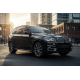 Боковые Подножки Duru (2 шт., Алюминий) для BMW X5 F15 2013-2018 гг