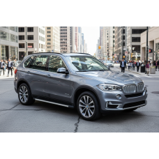Боковые Подножки Maya V1 (2 шт., Алюминий) для BMW X5 F-15 2013-2018 гг