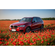 Боковые Подножки Maya Red (2 шт., Алюминий) для BMW X5 F-15 2013-2018 гг