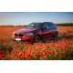 Бокові пороги Maya Red (2 шт., Алюміній) для BMW X5 F15 2013-2018 рр