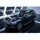 Бокові пороги Tayga Grey (2 шт., Алюміній) для BMW X5 F15 2013-2018 рр
