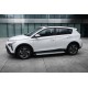 Боковые Подножки Maya V2 (2 шт., Алюминий) для Hyundai Bayon 2021- гг