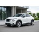 Боковые Подножки Allmond Black (2 шт., Алюминий) для Nissan Juke 2020- гг