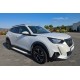 Боковые пороги Allmond Grey (2 шт., алюминий) для Peugeot 2008 2019- гг