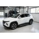 Боковые Подножки Duru (2 шт., Алюминий) для Hyundai Tucson NX4 2021- гг