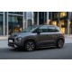 Боковые пороги Bosphorus Grey (2 шт., алюминий) для Citroen C-3 Aircross 2017-2024 гг
