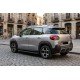 Боковые Подножки Tayga Black (2 шт., Алюминий) для Citroen C-3 Aircross 2017-2024 гг