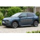 Боковые пороги Allmond Grey (2 шт., алюминий) для Citroen Cactus 2014-2020 гг