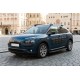 Боковые пороги Bosphorus Black (2 шт., алюминий) для Citroen Cactus 2014-2020 гг